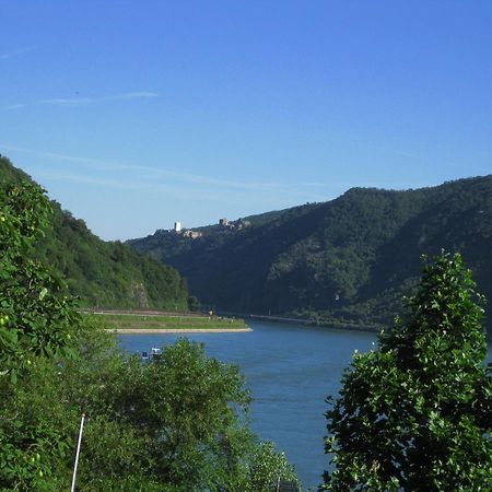 Pension / Ferienwohnungen Scheid Kestert エクステリア 写真