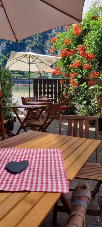 Pension / Ferienwohnungen Scheid Kestert エクステリア 写真