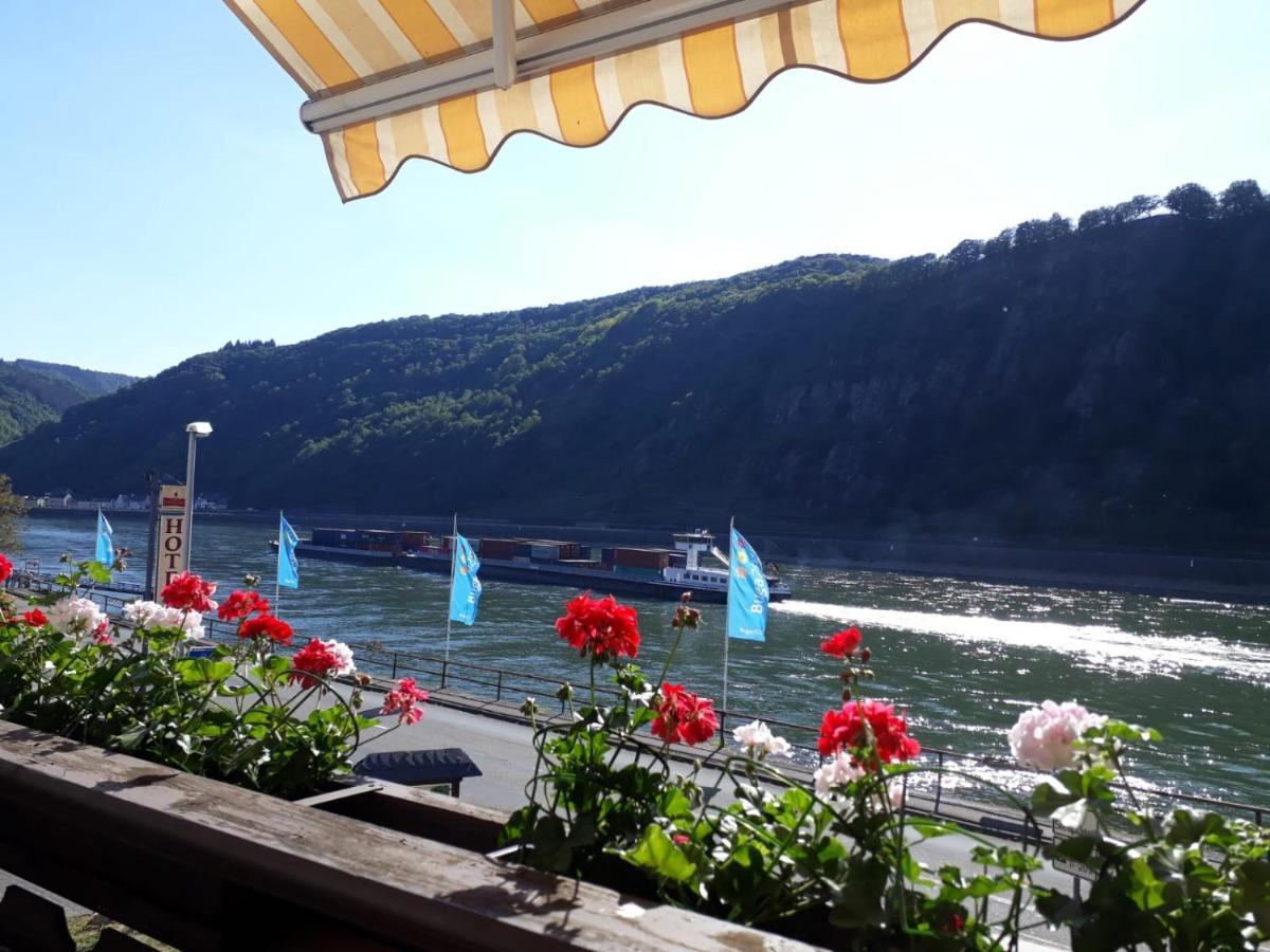 Pension / Ferienwohnungen Scheid Kestert エクステリア 写真