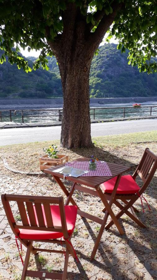 Pension / Ferienwohnungen Scheid Kestert エクステリア 写真